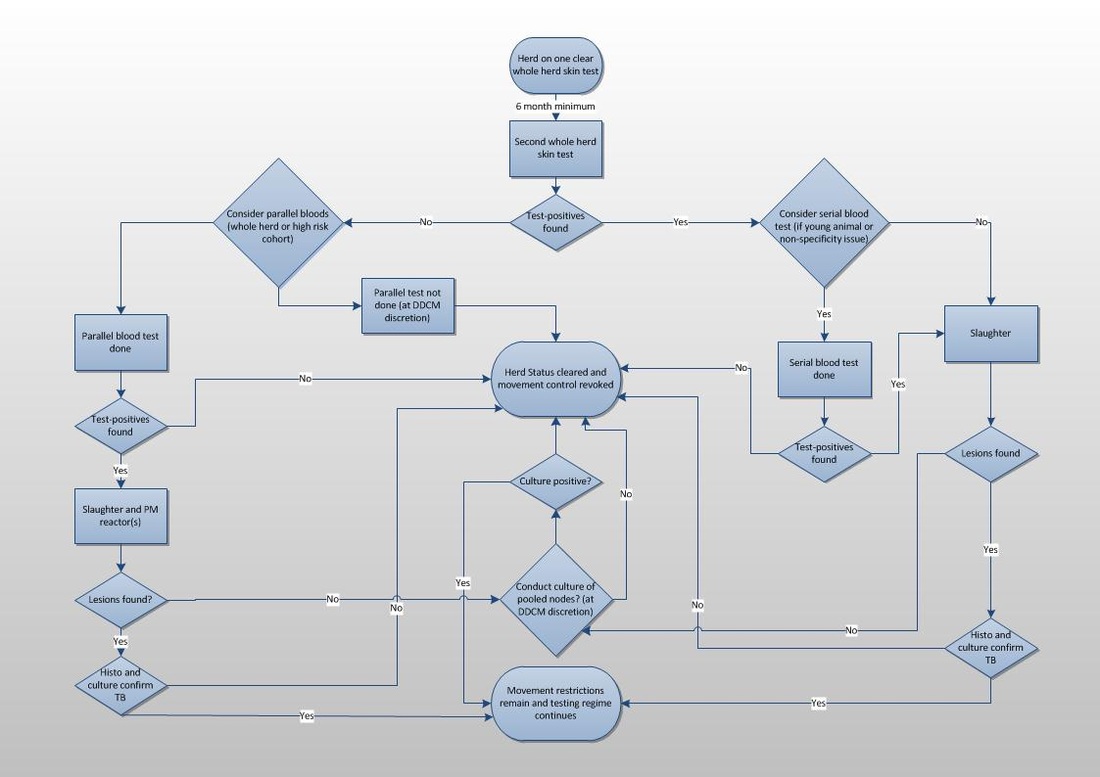 Decision flow diagram for final clearance test - Modelling ...